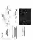 Fig. 58 - Adenoviral assembly method