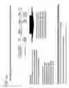 Fig. 61 - Adenoviral assembly method