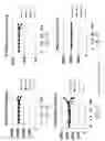 Fig. 04 - P97-antibody conjugates and methods of use