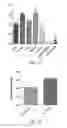 Fig. 12 - P97-antibody conjugates and methods of use