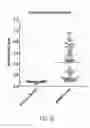 Fig. 19 - P97-antibody conjugates and methods of use