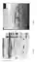 Fig. 03 - THERMOSTABLE NUCLEASE
