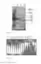 Fig. 08 - THERMOSTABLE NUCLEASE