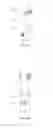 Fig. 25 - Stabilized alpha-galactosidase and uses thereof