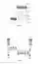 Fig. 43 - Stabilized alpha-galactosidase and uses thereof