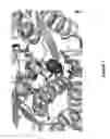 Fig. 08 - SYSTEMS AND METHODS FOR EVOLVING ENZYMES WITH DESIRED ACTIVITIES
