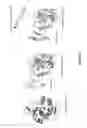 Fig. 12 - SYSTEMS AND METHODS FOR EVOLVING ENZYMES WITH DESIRED ACTIVITIES