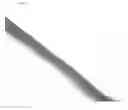 Fig. 05 - Hatching fluid enzymes and uses thereof
