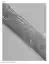 Fig. 06 - Hatching fluid enzymes and uses thereof