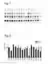 Fig. 02 - Treatment of genetic disorders associated with DNA repeat instability