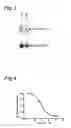 Fig. 03 - Treatment of genetic disorders associated with DNA repeat instability