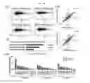 Fig. 18 - Composition for controlling stem cells pluripotency, containing LIN28A methylation inhibitor, and method for screening for LIN28A methylation inhibitor