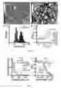 Fig. 03 - Biocompatible infinite coordination polymer nanoparticle-nucleic acid conjugates for antisense gene regulation