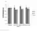 Fig. 06 - Biocompatible infinite coordination polymer nanoparticle-nucleic acid conjugates for antisense gene regulation