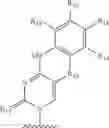 Fig. 11 - Compositions comprising alternating 2′-modified nucleosides for use in gene modulation