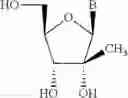 Fig. 13 - Compositions comprising alternating 2′-modified nucleosides for use in gene modulation