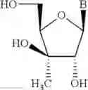 Fig. 19 - Compositions comprising alternating 2′-modified nucleosides for use in gene modulation