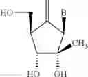 Fig. 20 - Compositions comprising alternating 2′-modified nucleosides for use in gene modulation