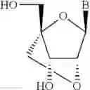 Fig. 21 - Compositions comprising alternating 2′-modified nucleosides for use in gene modulation