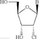 Fig. 22 - Compositions comprising alternating 2′-modified nucleosides for use in gene modulation
