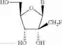 Fig. 26 - Compositions comprising alternating 2′-modified nucleosides for use in gene modulation