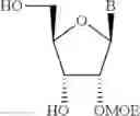 Fig. 27 - Compositions comprising alternating 2′-modified nucleosides for use in gene modulation