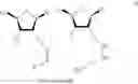 Fig. 32 - Compositions comprising alternating 2′-modified nucleosides for use in gene modulation