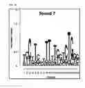 Fig. 07 - Cell-specific internalizing RNA aptamers against human CCR5 and uses therefore