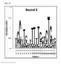 Fig. 08 - Cell-specific internalizing RNA aptamers against human CCR5 and uses therefore
