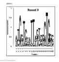 Fig. 09 - Cell-specific internalizing RNA aptamers against human CCR5 and uses therefore