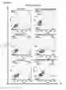 Fig. 22 - Cell-specific internalizing RNA aptamers against human CCR5 and uses therefore