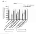 Fig. 26 - Cell-specific internalizing RNA aptamers against human CCR5 and uses therefore