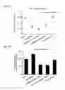 Fig. 31 - Cell-specific internalizing RNA aptamers against human CCR5 and uses therefore
