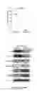 Fig. 03 - Antiproliferative agent