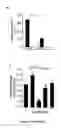 Fig. 09 - Antiproliferative agent
