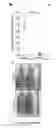 Fig. 55 - Antiproliferative agent