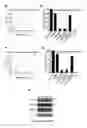 Fig. 83 - Antiproliferative agent