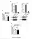 Fig. 86 - Antiproliferative agent