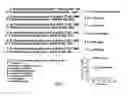 Fig. 04 - RNA interference mediated inhibition of gene expression using chemically modified short interfering nucleic acid (siNA)