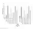 Fig. 12 - RNA interference mediated inhibition of gene expression using chemically modified short interfering nucleic acid (siNA)
