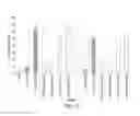 Fig. 13 - RNA interference mediated inhibition of gene expression using chemically modified short interfering nucleic acid (siNA)