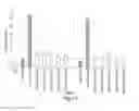 Fig. 15 - RNA interference mediated inhibition of gene expression using chemically modified short interfering nucleic acid (siNA)