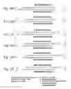 Fig. 20 - RNA interference mediated inhibition of gene expression using chemically modified short interfering nucleic acid (siNA)
