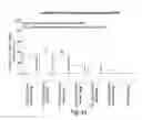 Fig. 24 - RNA interference mediated inhibition of gene expression using chemically modified short interfering nucleic acid (siNA)