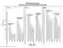Fig. 30 - RNA interference mediated inhibition of gene expression using chemically modified short interfering nucleic acid (siNA)