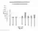 Fig. 37 - RNA interference mediated inhibition of gene expression using chemically modified short interfering nucleic acid (siNA)
