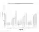 Fig. 40 - RNA interference mediated inhibition of gene expression using chemically modified short interfering nucleic acid (siNA)