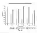 Fig. 41 - RNA interference mediated inhibition of gene expression using chemically modified short interfering nucleic acid (siNA)
