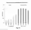 Fig. 42 - RNA interference mediated inhibition of gene expression using chemically modified short interfering nucleic acid (siNA)