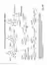 Fig. 47 - RNA interference mediated inhibition of gene expression using chemically modified short interfering nucleic acid (siNA)